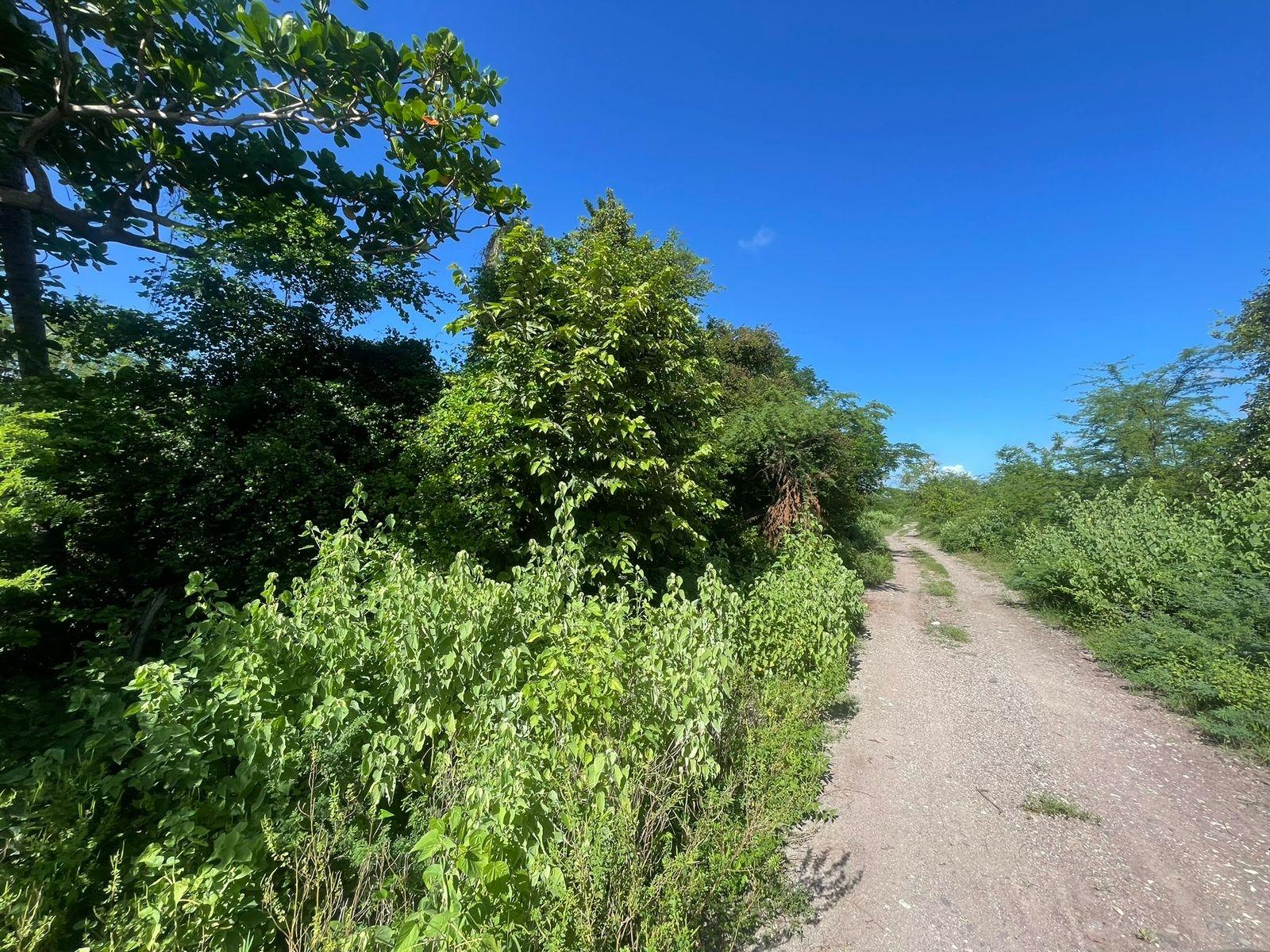 Fourth image of 1 Vernamfield in Gimme Me Bit, Clarendon, Jamaica - property is For Sale