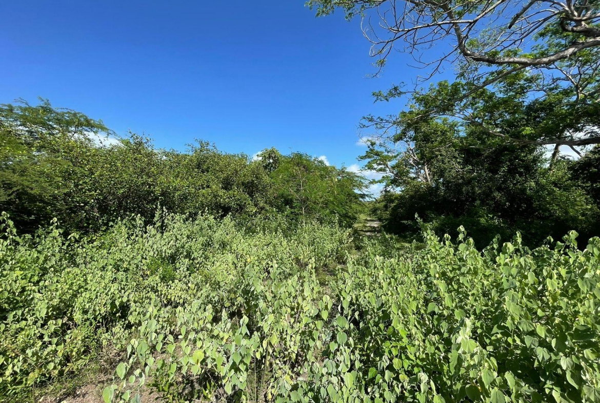 Sixth image of 1 Vernamfield in Gimme Me Bit, Clarendon, Jamaica - property is For Sale