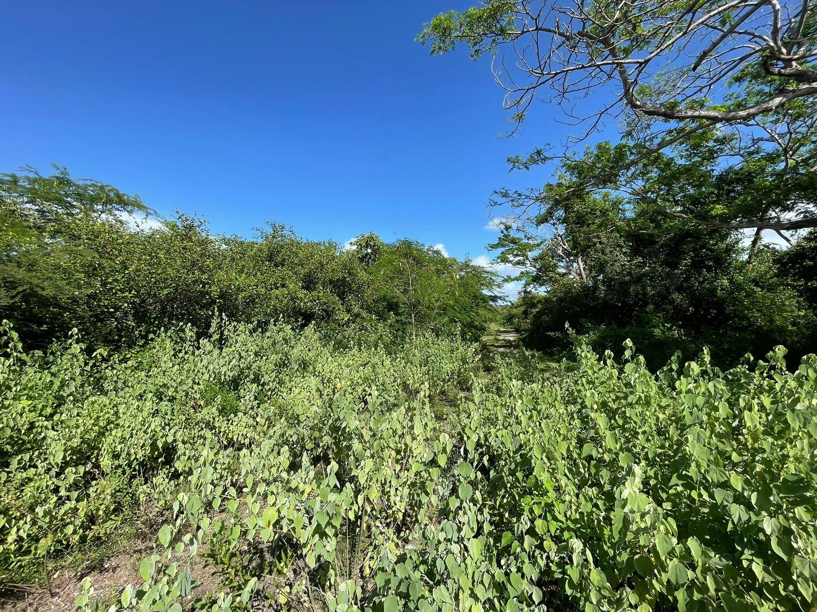 Sixth image of 1 Vernamfield in Gimme Me Bit, Clarendon, Jamaica - property is For Sale