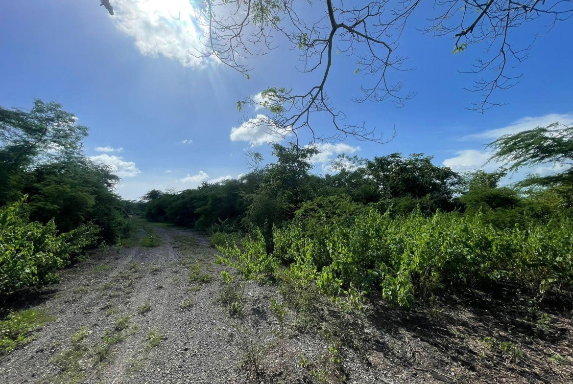 Seventh image of 1 Vernamfield in Gimme Me Bit, Clarendon, Jamaica - property is For Sale