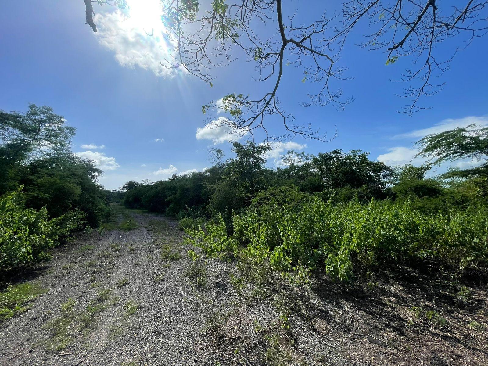 Seventh image of 1 Vernamfield in Gimme Me Bit, Clarendon, Jamaica - property is For Sale