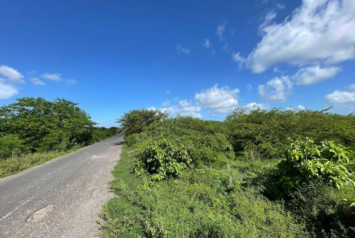 Eighth image of 1 Vernamfield in Gimme Me Bit, Clarendon, Jamaica - property is For Sale