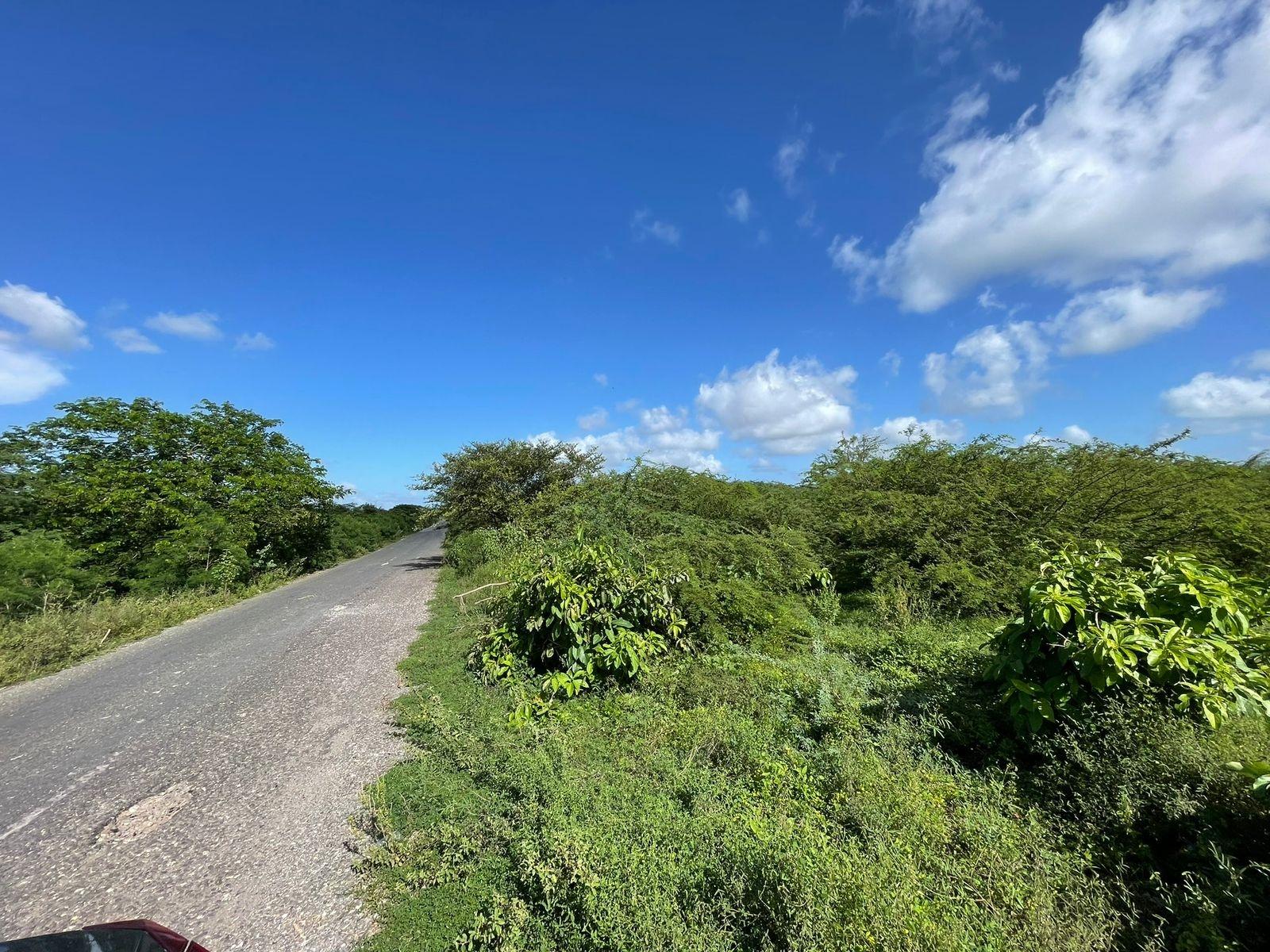 Eighth image of 1 Vernamfield in Gimme Me Bit, Clarendon, Jamaica - property is For Sale