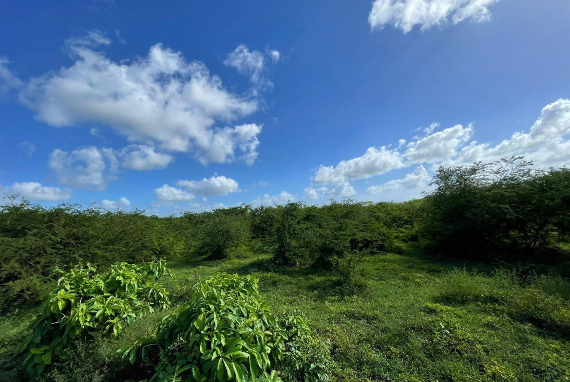 Ninth image of 1 Vernamfield in Gimme Me Bit, Clarendon, Jamaica - property is For Sale