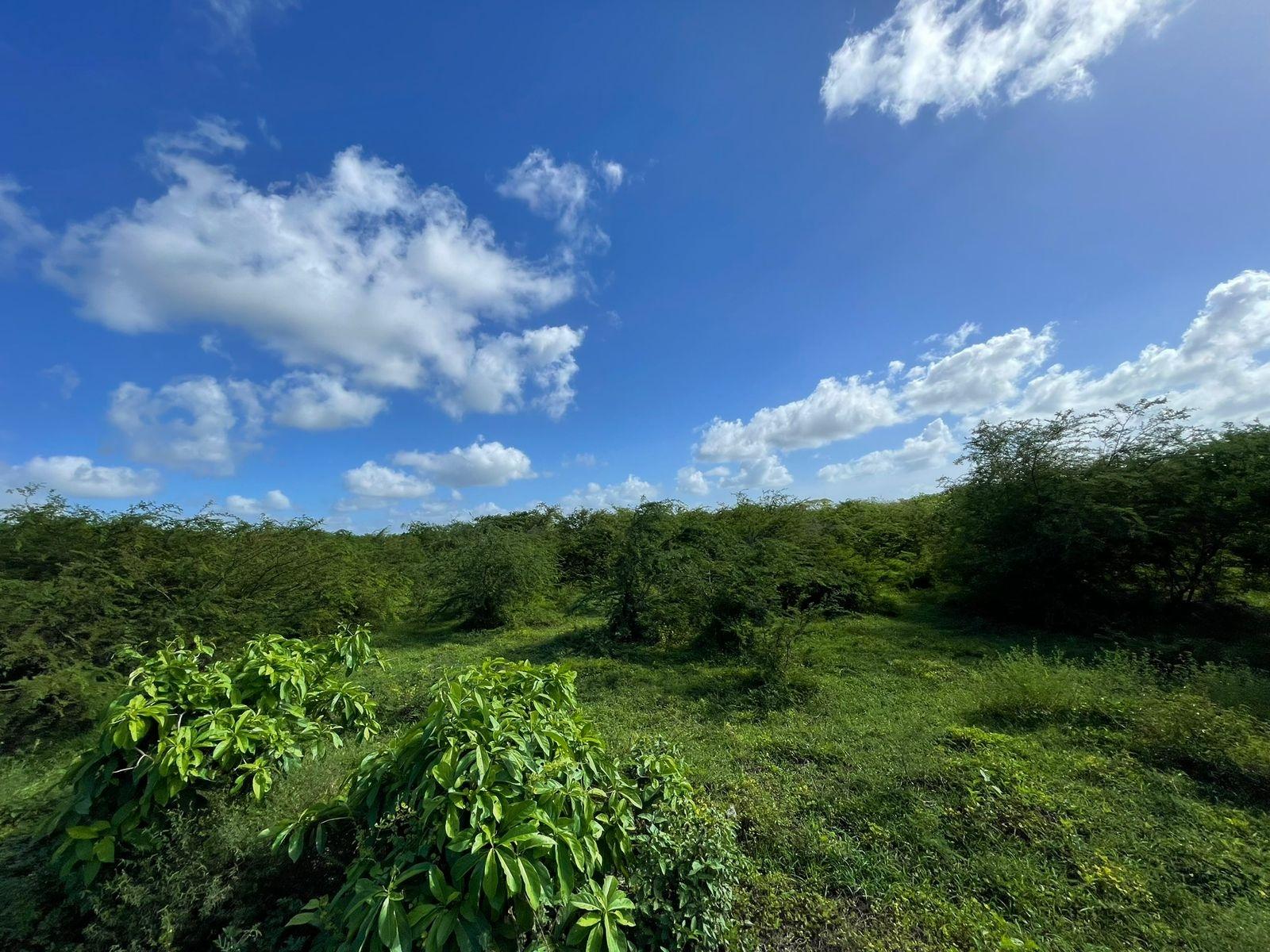Ninth image of 1 Vernamfield in Gimme Me Bit, Clarendon, Jamaica - property is For Sale