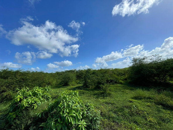 Ninth image of 1 Vernamfield in Gimme Me Bit, Clarendon, Jamaica - property is For Sale