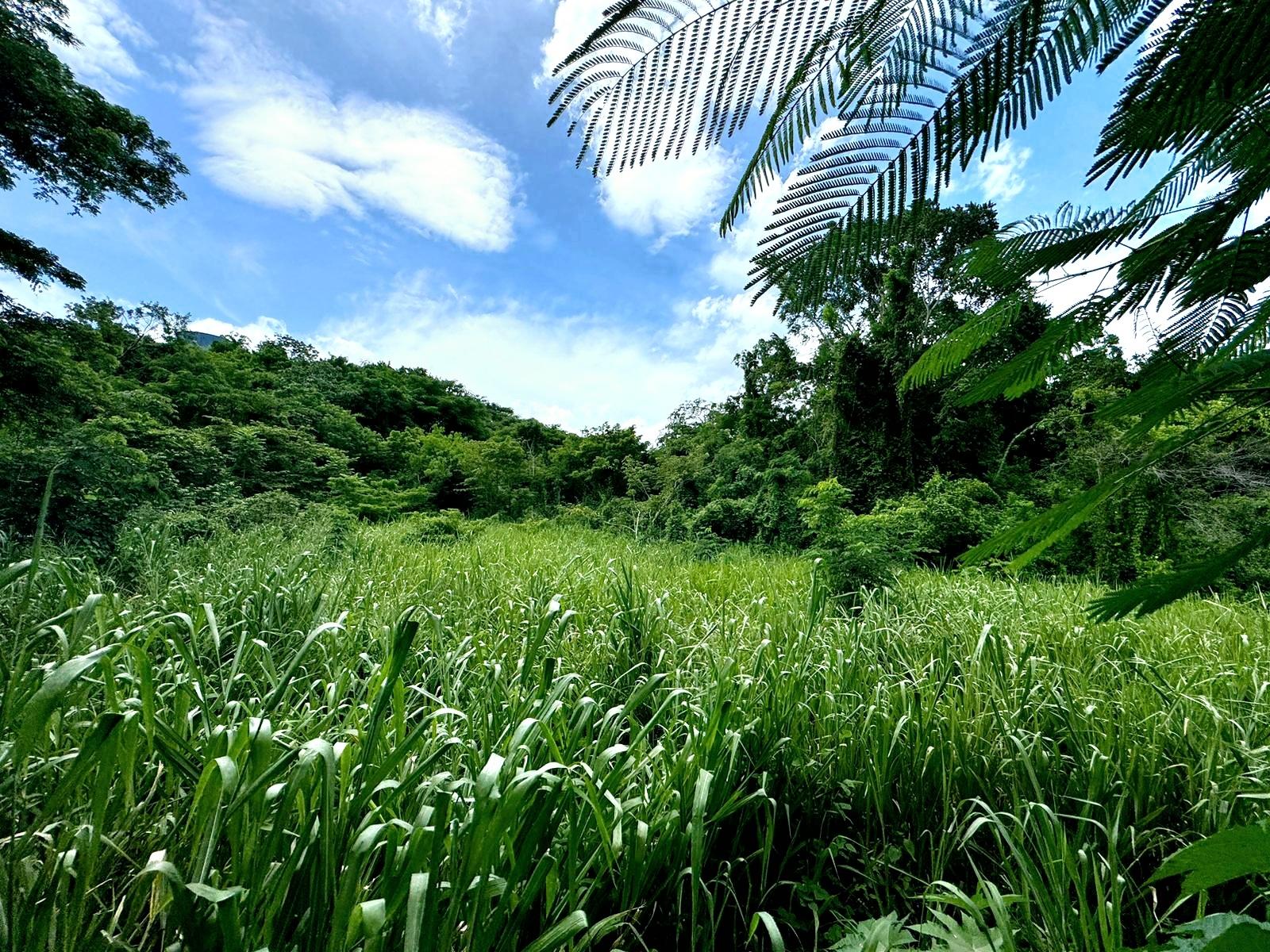 Second image of Lot 3&4 Maverly Mountain, St.andr in Red Hills, St. Andrew, Jamaica - property is For Sale