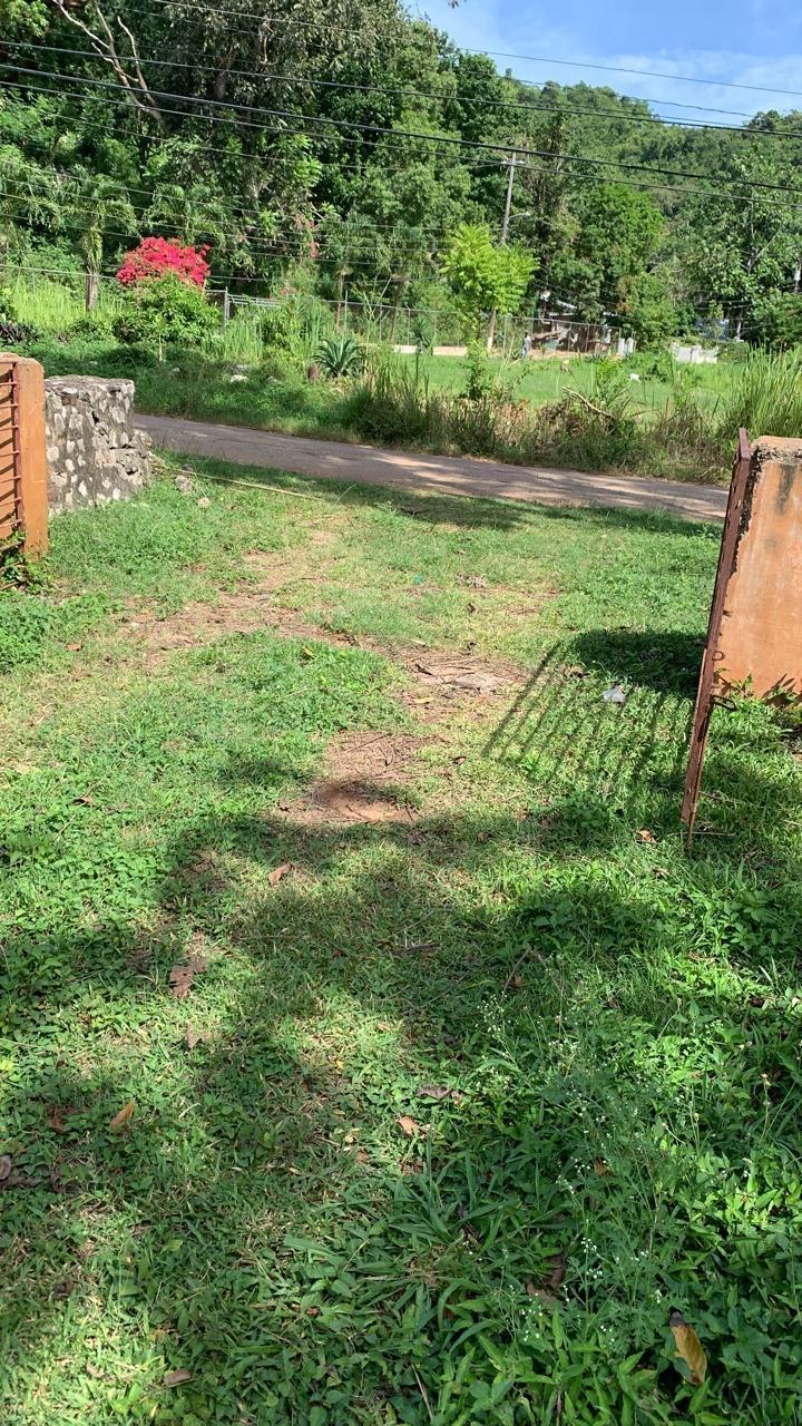 Second image of Lot 61 Marverly Mountain, Sterli in Red Hills, St. Andrew, Jamaica - property is For Sale