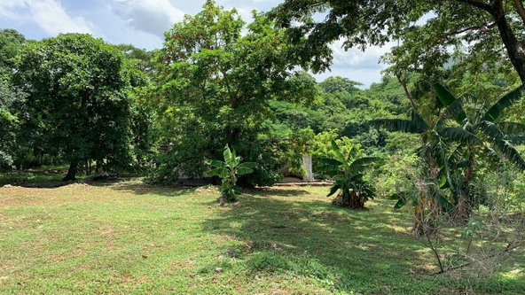 Fifth image of Lot 61 Marverly Mountain, Sterli in Red Hills, St. Andrew, Jamaica - property is For Sale