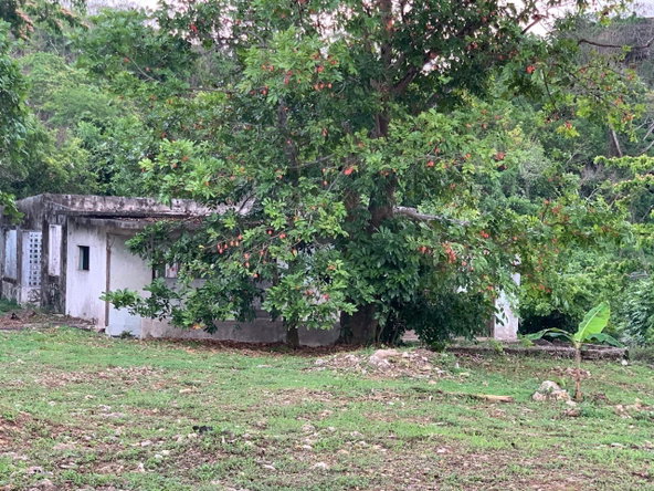 Eighth image of Lot 61 Marverly Mountain, Sterli in Red Hills, St. Andrew, Jamaica - property is For Sale