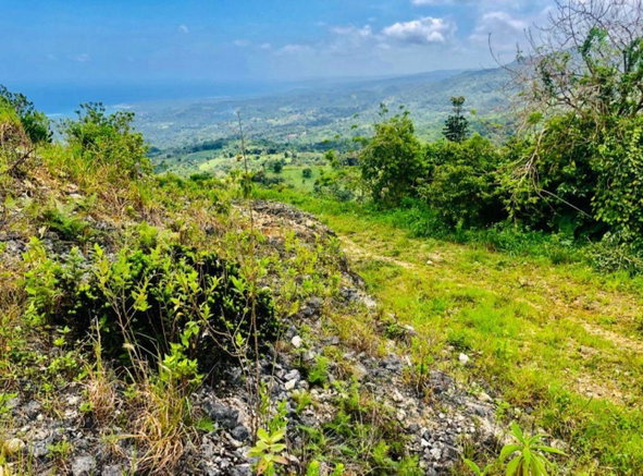 Second image of 230- Lilyfield in Bamboo, St. Ann, Jamaica - property is For Sale
