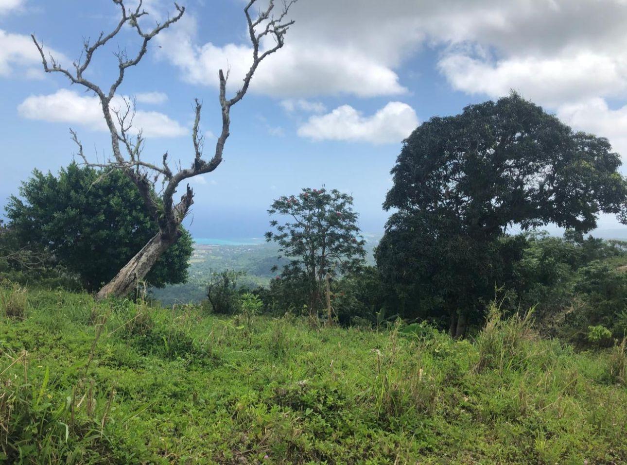 Third image of 230- Lilyfield in Bamboo, St. Ann, Jamaica - property is For Sale