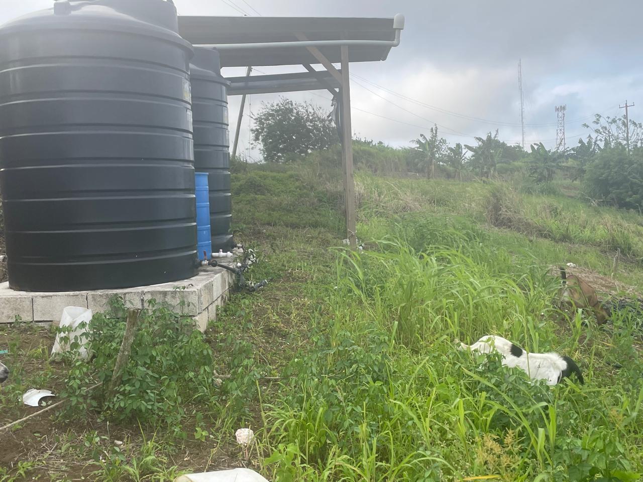 Sixth image of 230- Lilyfield in Bamboo, St. Ann, Jamaica - property is For Sale