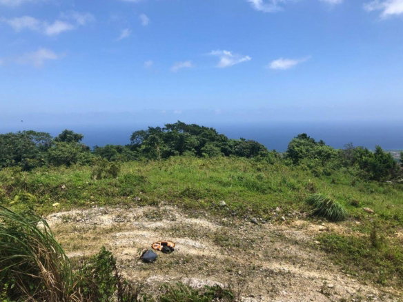 First image of 230- Lilyfield in Bamboo, St. Ann, Jamaica - property is For Sale