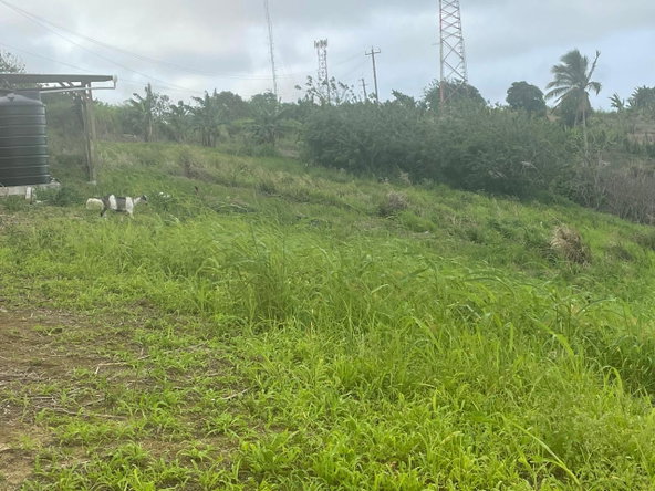 Seventh image of 230- Lilyfield in Bamboo, St. Ann, Jamaica - property is For Sale