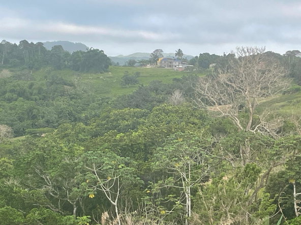 Ninth image of 230- Lilyfield in Bamboo, St. Ann, Jamaica - property is For Sale