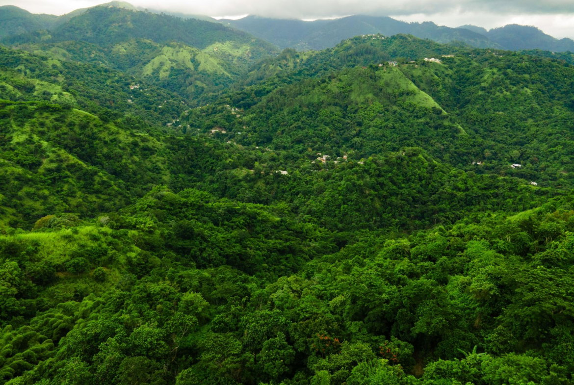Second image of Lot Jacks Hill in Jacks Hill, St. Andrew, Jamaica - property is For Sale