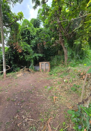 Sixth image of Lot Jacks Hill in Jacks Hill, St. Andrew, Jamaica - property is For Sale