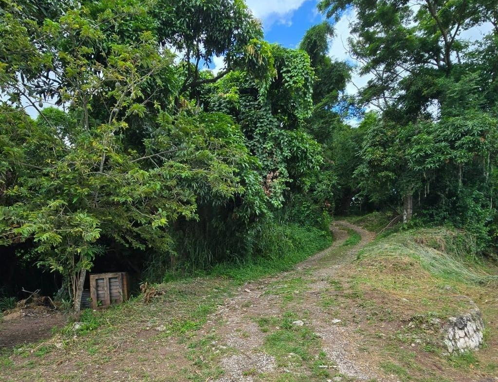 Eighth image of Lot Jacks Hill in Jacks Hill, St. Andrew, Jamaica - property is For Sale