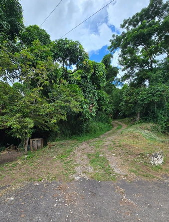 Eighth image of Lot Jacks Hill in Jacks Hill, St. Andrew, Jamaica - property is For Sale