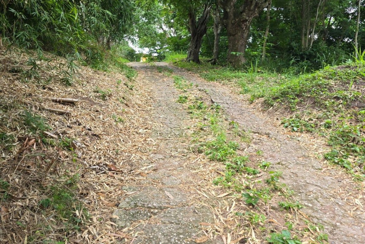 Ninth image of Lot Jacks Hill in Jacks Hill, St. Andrew, Jamaica - property is For Sale