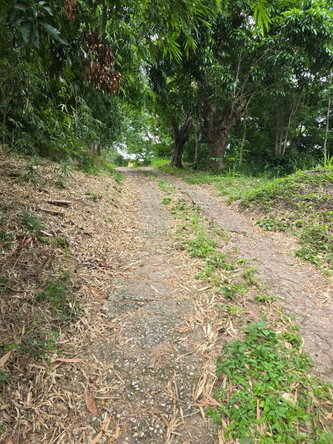 Ninth image of Lot Jacks Hill in Jacks Hill, St. Andrew, Jamaica - property is For Sale