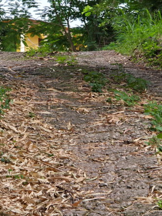 Tenth image of Lot Jacks Hill in Jacks Hill, St. Andrew, Jamaica - property is For Sale