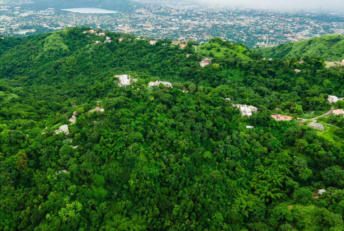 Third image of Lot Jacks Hill in Jacks Hill, St. Andrew, Jamaica - property is For Sale