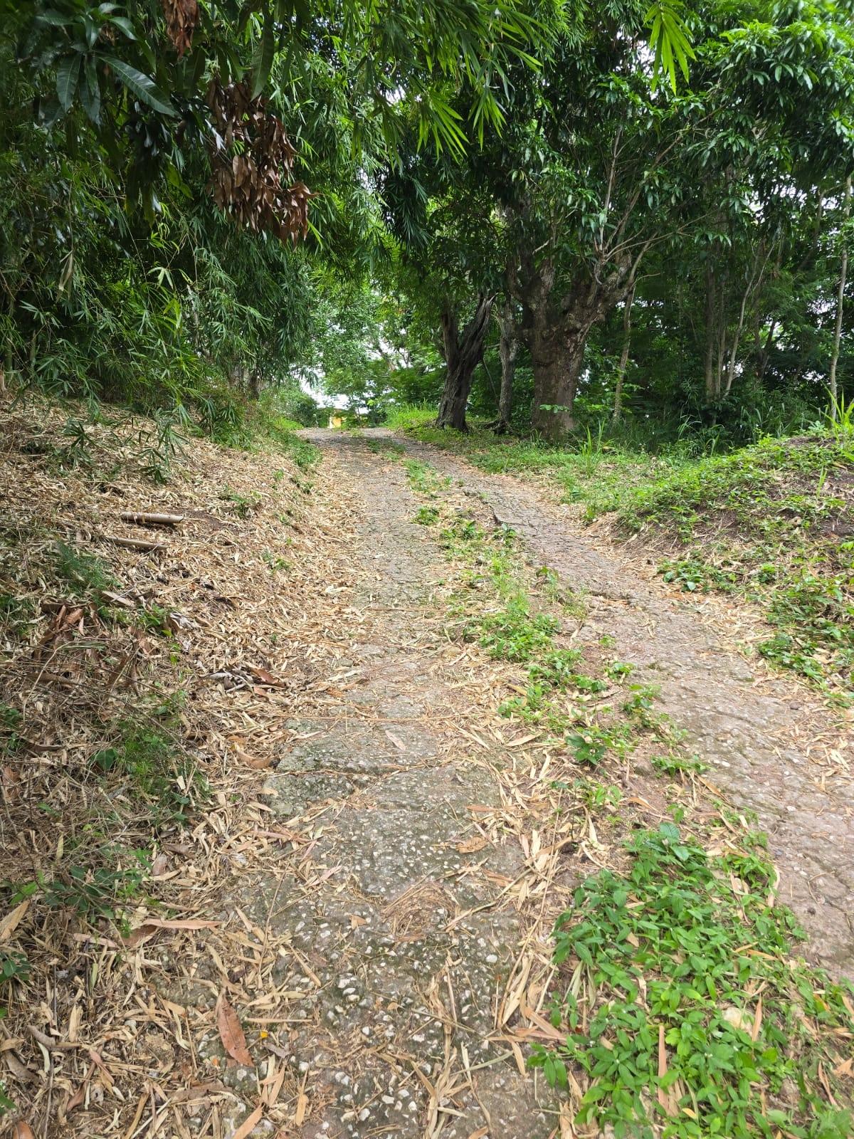 Eighth image of Lot Jacks Hill in Jacks Hill, St. Andrew, Jamaica - property is For Sale