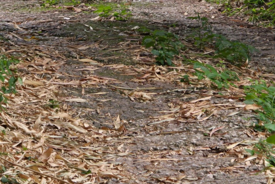 Ninth image of Lot Jacks Hill in Jacks Hill, St. Andrew, Jamaica - property is For Sale