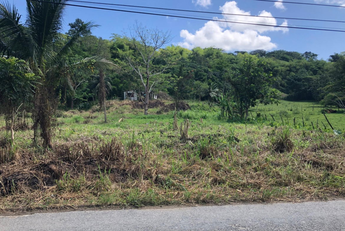 Second image of 5 Saxham in Saxham, Hanover, Jamaica - property is For Sale