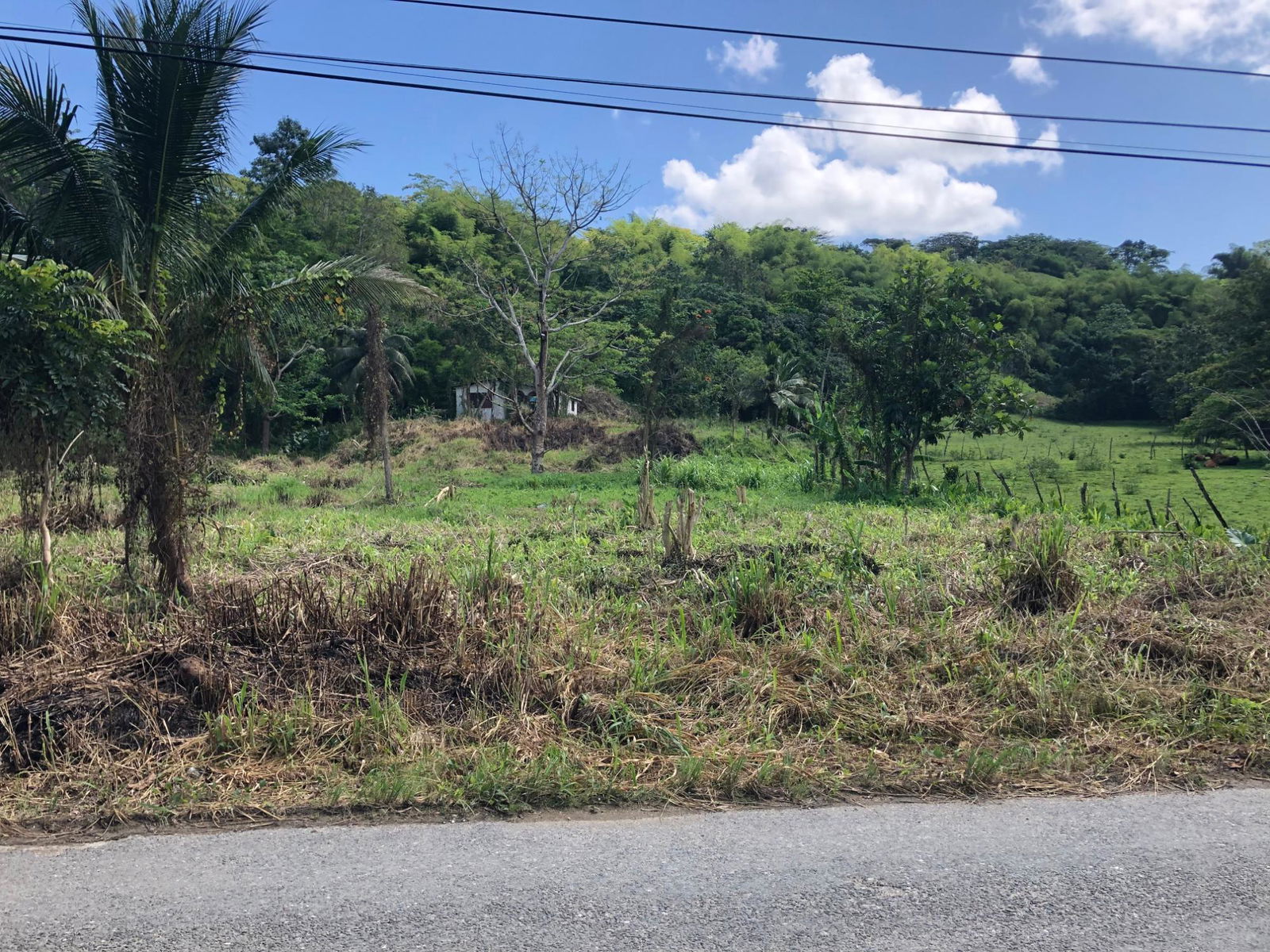 Second image of 5 Saxham in Saxham, Hanover, Jamaica - property is For Sale