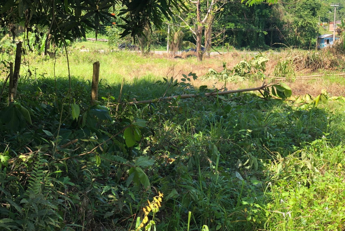 First image of 5 Saxham in Saxham, Hanover, Jamaica - property is For Sale