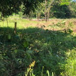 First image of 5 Saxham in Saxham, Hanover, Jamaica - property is For Sale