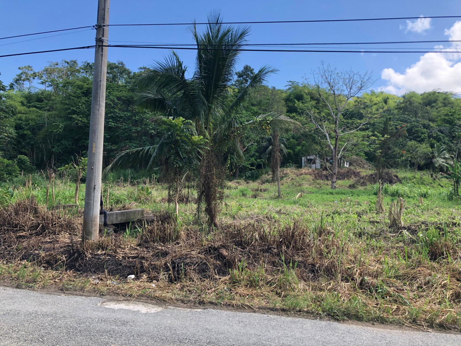 Third image of 5 Saxham in Saxham, Hanover, Jamaica - property is For Sale