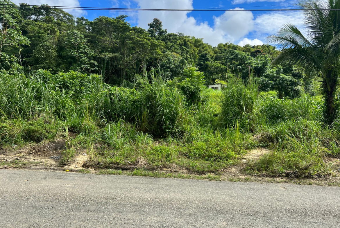 Fourth image of 5 Saxham in Saxham, Hanover, Jamaica - property is For Sale