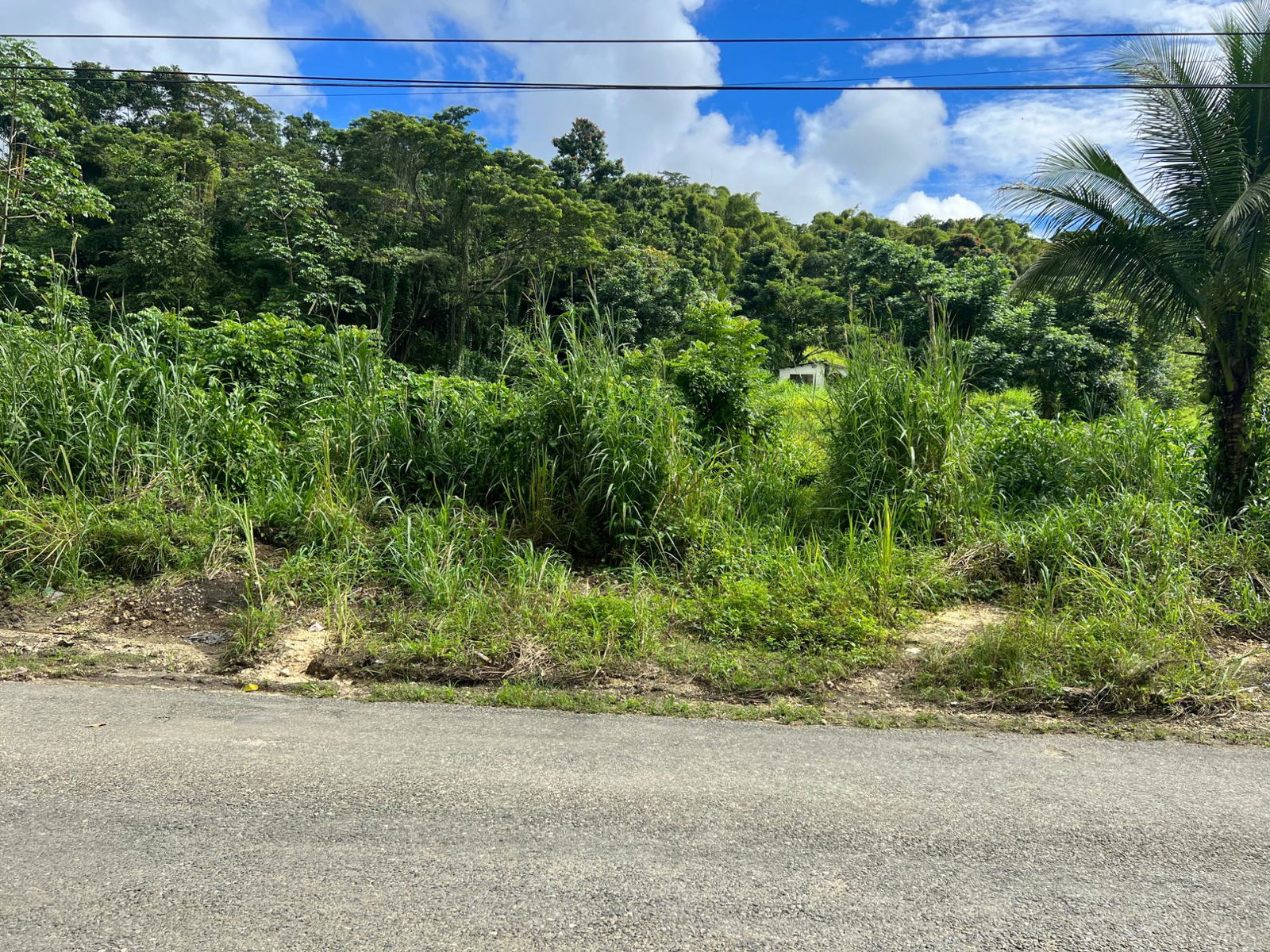 Fourth image of 5 Saxham in Saxham, Hanover, Jamaica - property is For Sale