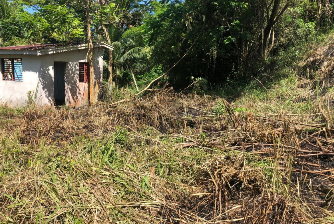 Fifth image of 5 Saxham in Saxham, Hanover, Jamaica - property is For Sale