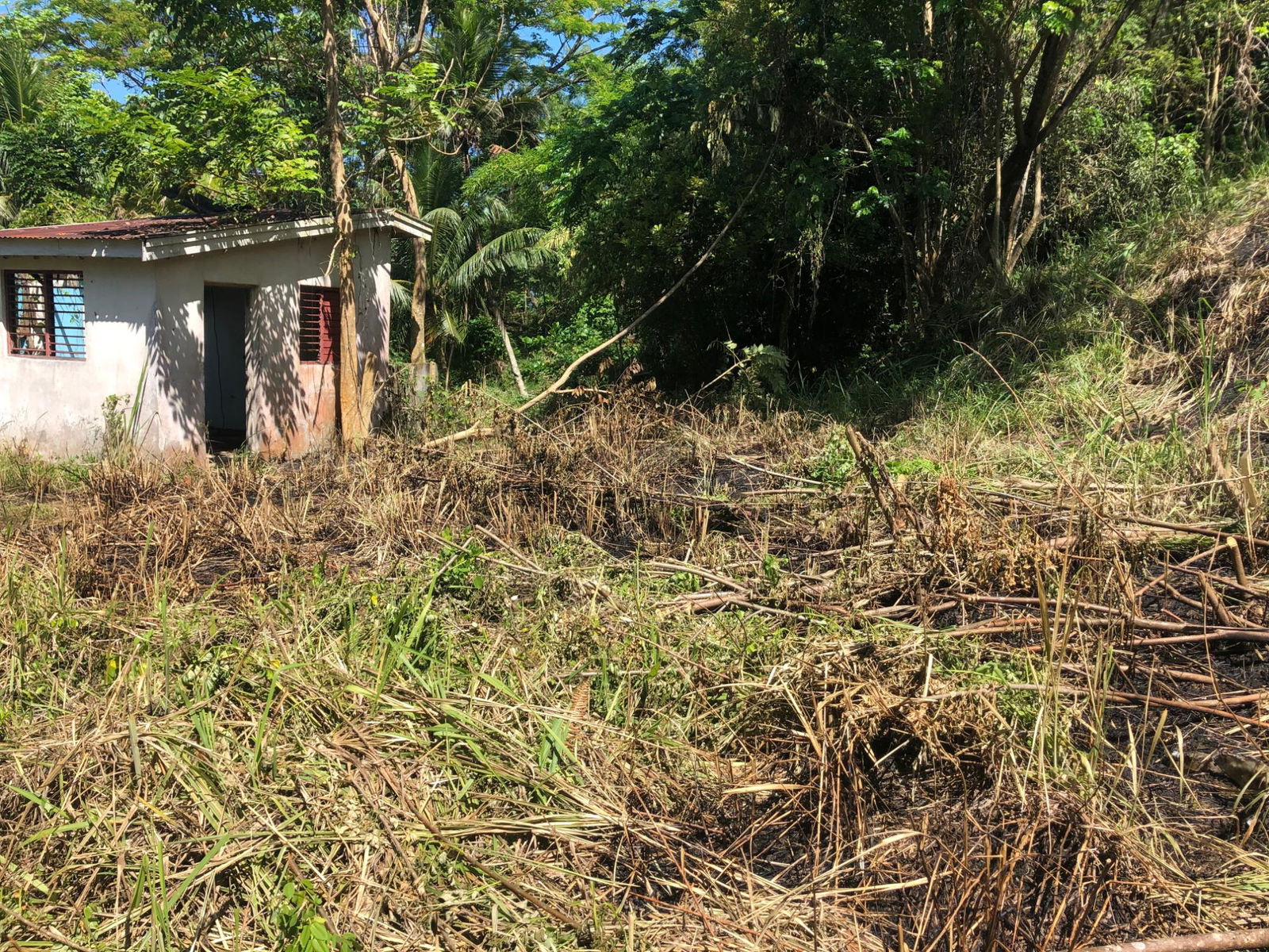 Fifth image of 5 Saxham in Saxham, Hanover, Jamaica - property is For Sale