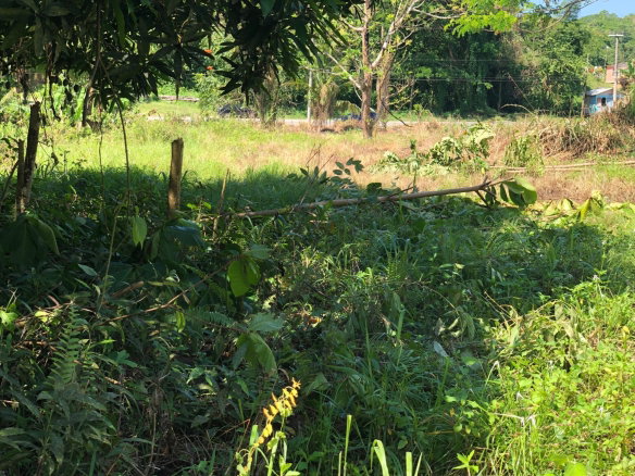 First image of 5 Saxham in Saxham, Hanover, Jamaica - property is For Sale