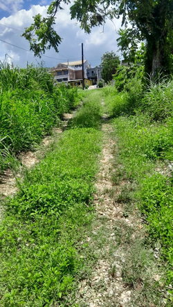 Eleventh image of Hopewell, Hanover in Hopewell, Hanover, Jamaica - property is For Sale