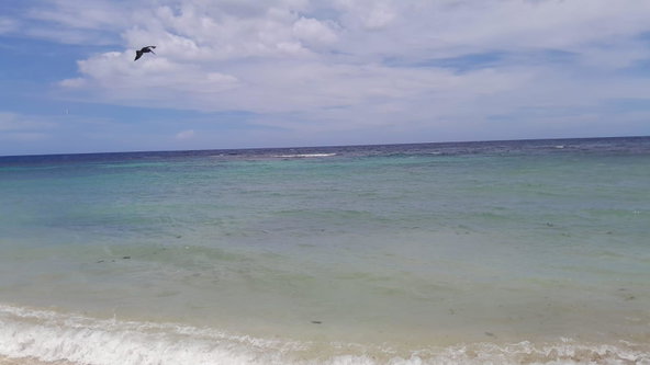 Fifteenth image of Hopewell, Hanover in Hopewell, Hanover, Jamaica - property is For Sale