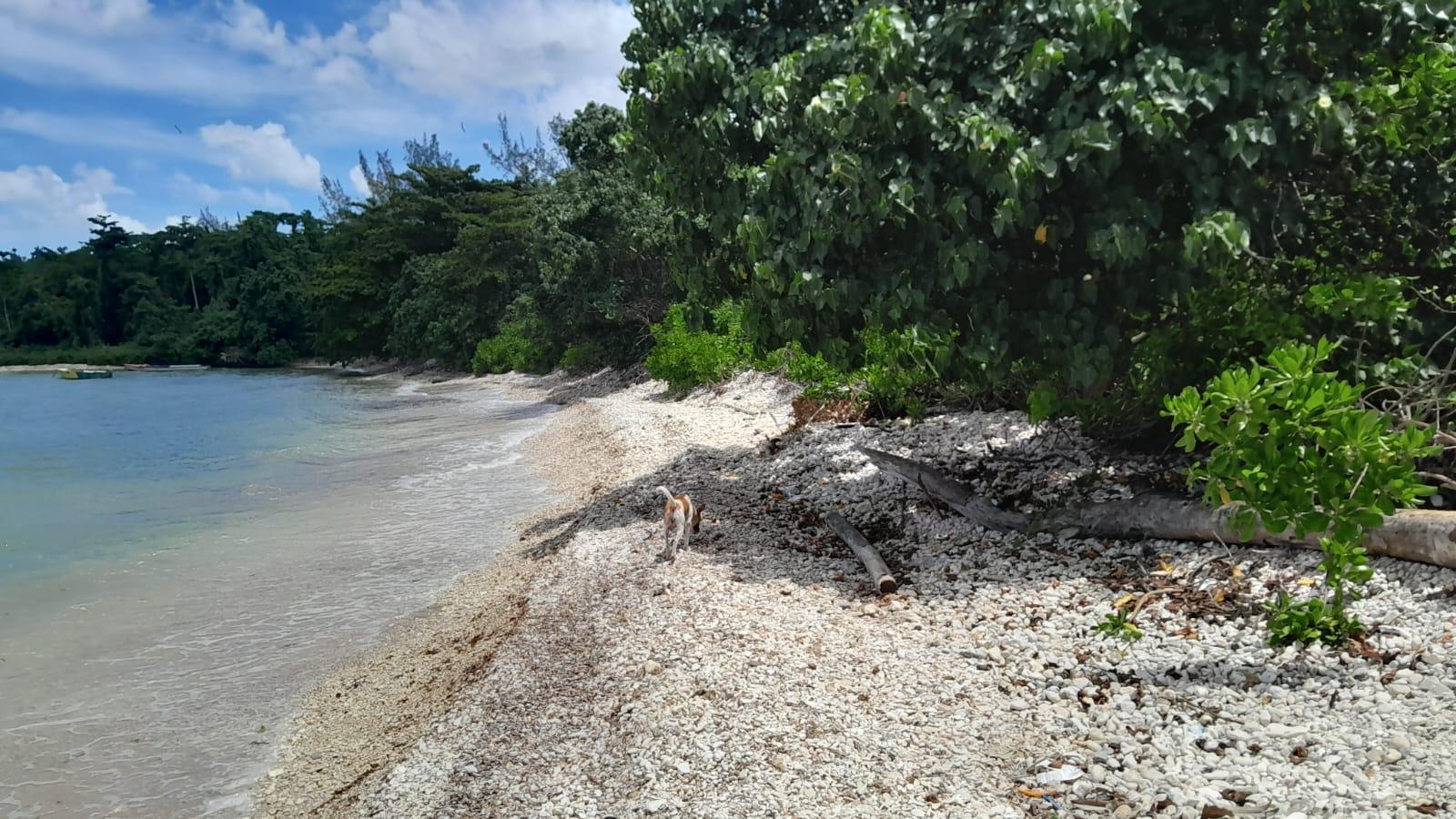 Twenty-Third image of Hopewell, Hanover in Hopewell, Hanover, Jamaica - property is For Sale