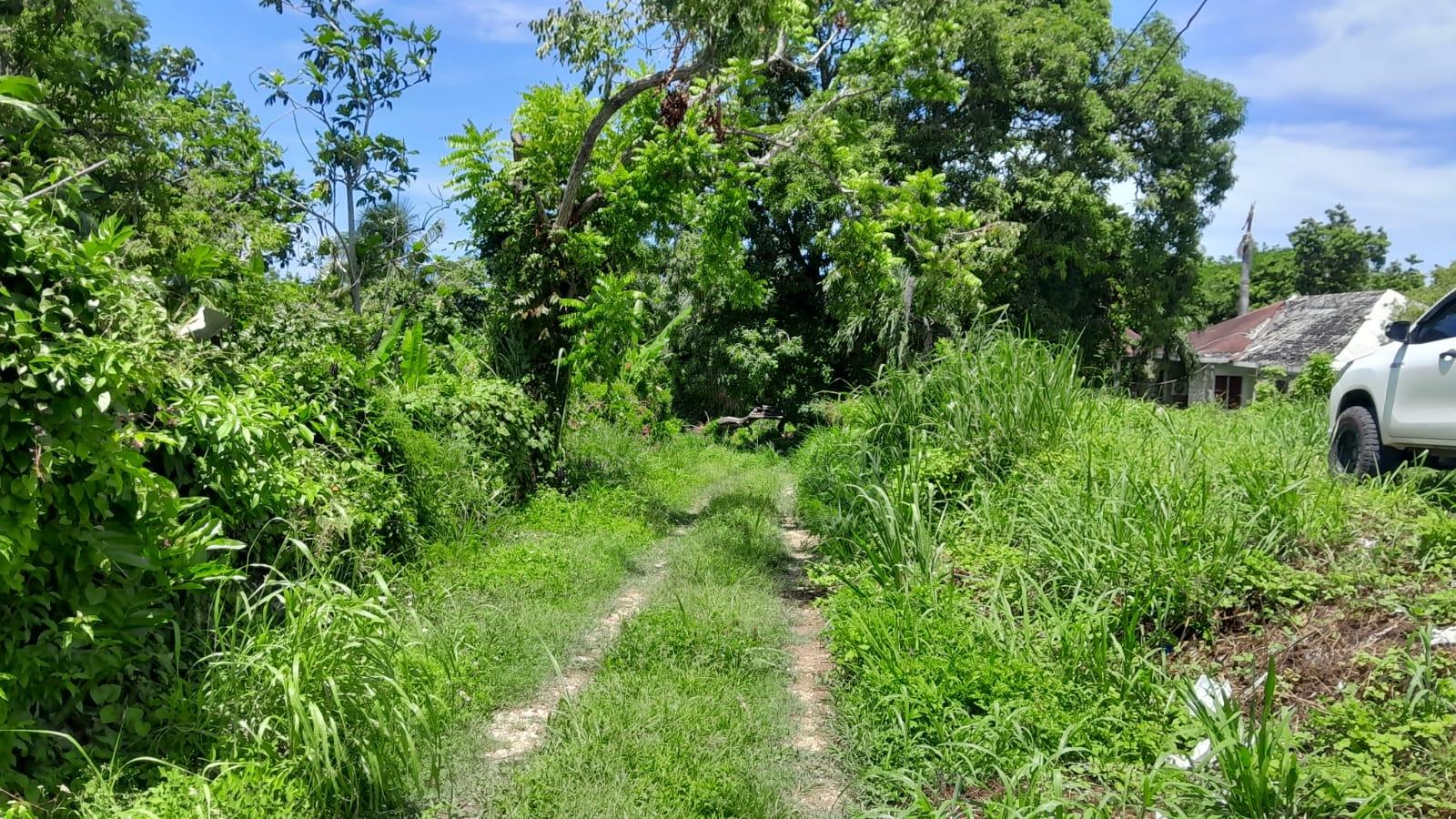 Fourth image of Hopewell, Hanover in Hopewell, Hanover, Jamaica - property is For Sale