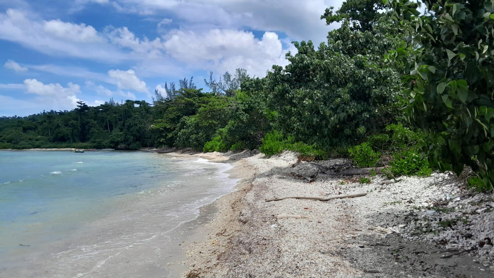 Eighth image of Hopewell, Hanover in Hopewell, Hanover, Jamaica - property is For Sale