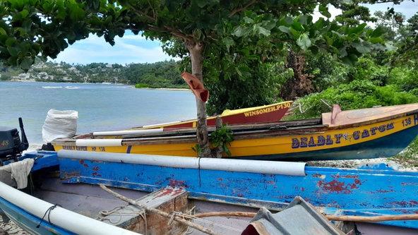 Ninth image of Hopewell, Hanover in Hopewell, Hanover, Jamaica - property is For Sale