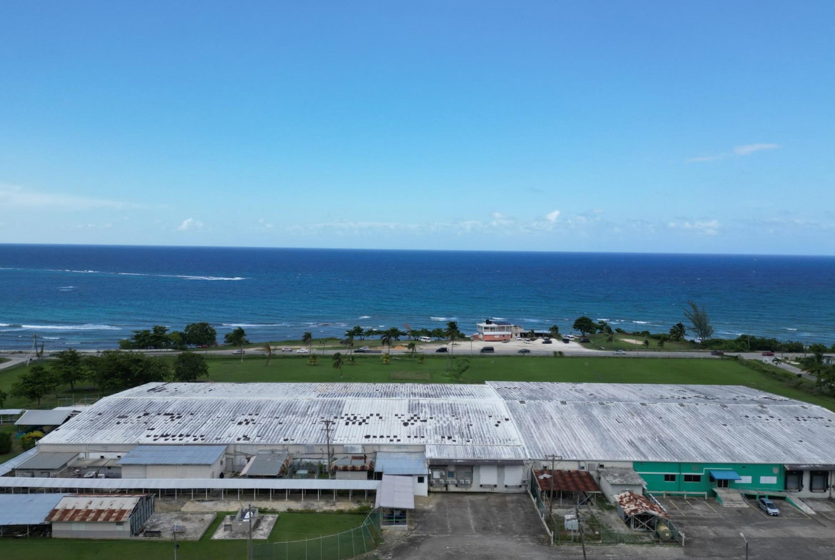 Ninth image of Tryall, Sandy Bay in Sandy Bay, Hanover, Jamaica - property is For Rent