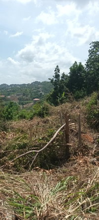 Second image of 1-344 Quarter Deck Drive in Red Hills, St. Andrew, Jamaica - property is For Sale