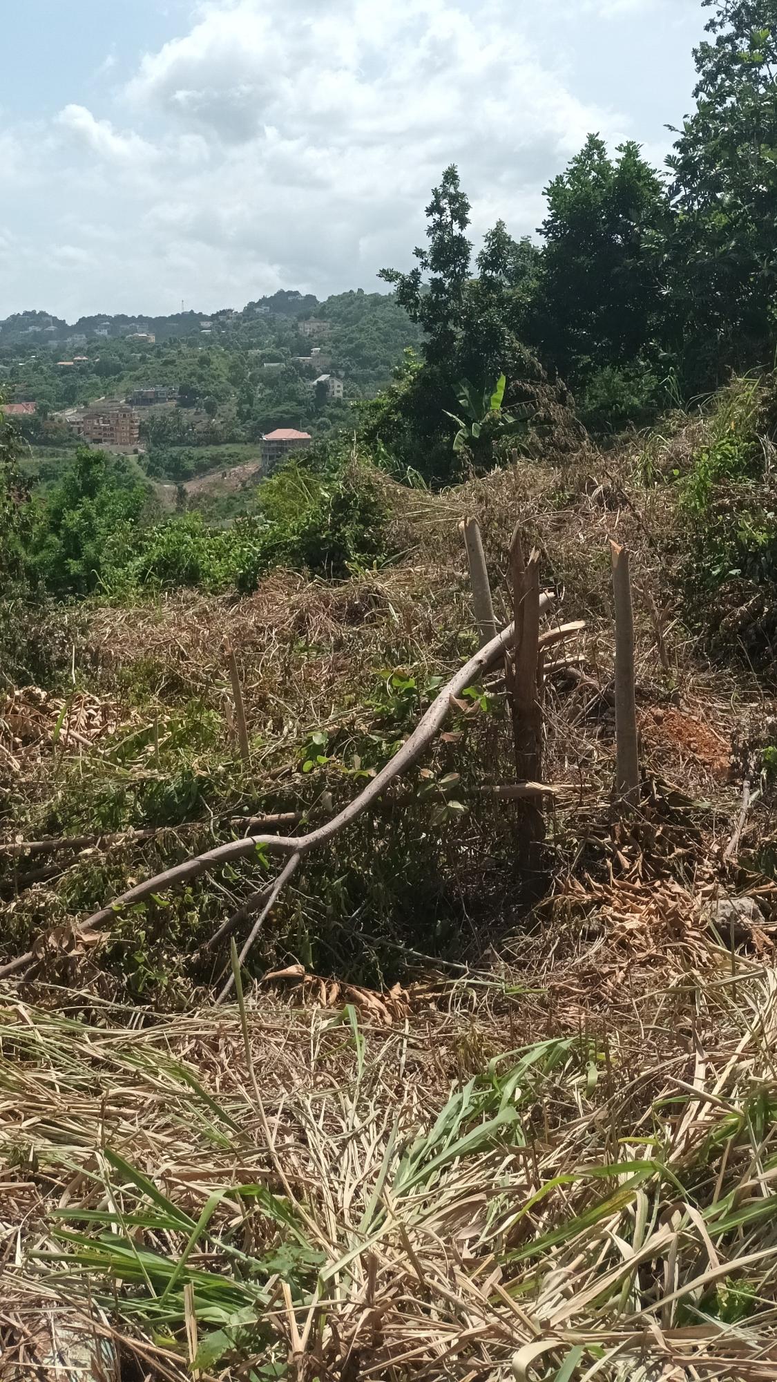 Fifth image of 1-344 Quarter Deck Drive in Red Hills, St. Andrew, Jamaica - property is For Sale