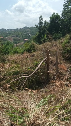 Fifth image of 1-344 Quarter Deck Drive in Red Hills, St. Andrew, Jamaica - property is For Sale